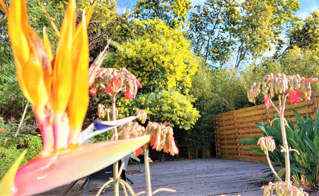 Hotel Les Jardins De Bormes, Sauna & Jacuzzi Luaran gambar